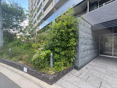 植栽豊かなエントランス