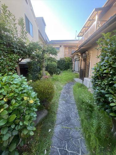 現地(2025年7月撮影) 現地(2025年7月撮影)