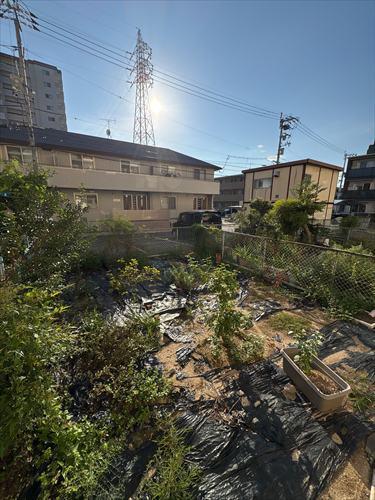 専用庭（2025年8月撮影）