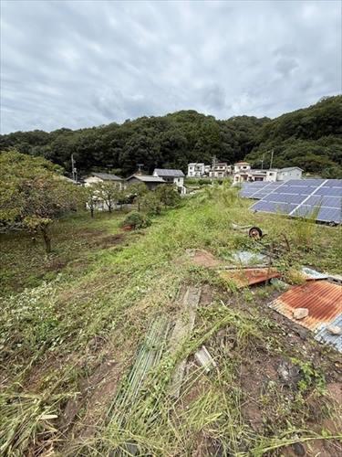 現地　2025年10月撮影