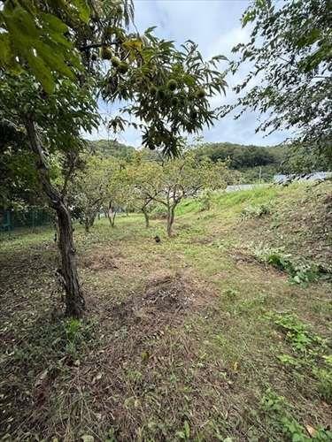 現地　2025年10月撮影