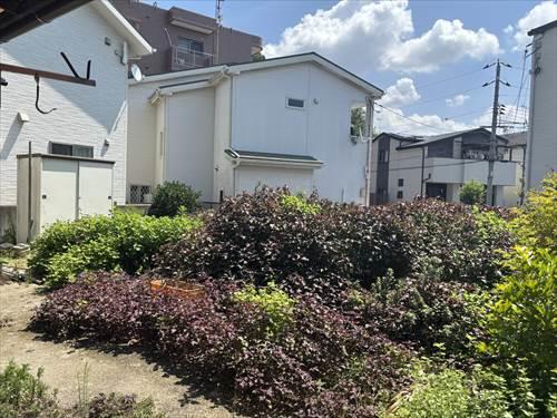 庭部分(撮影2025年8月) 庭部分(撮影2025年8月)