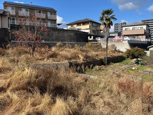 現地(2025年12月撮影)