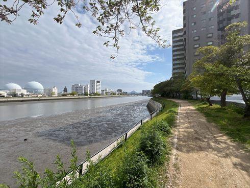 京橋川遊歩道まで80ｍ
