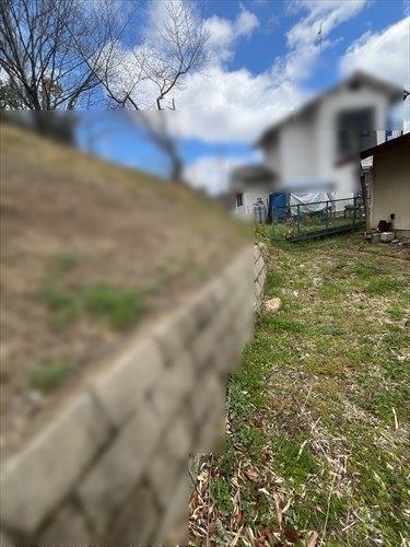 現地（2026年3月撮影）