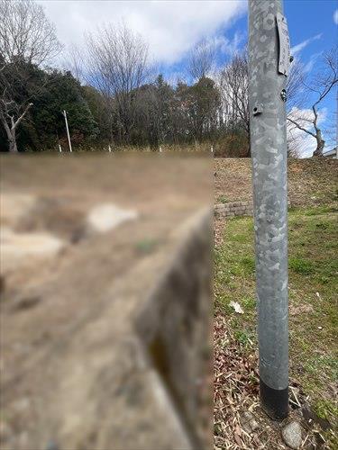 現地（2026年3月撮影）