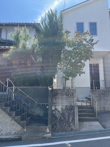 現地（2026年3月撮影）