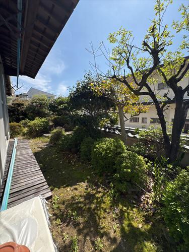 現地写真（2026年4月撮影）