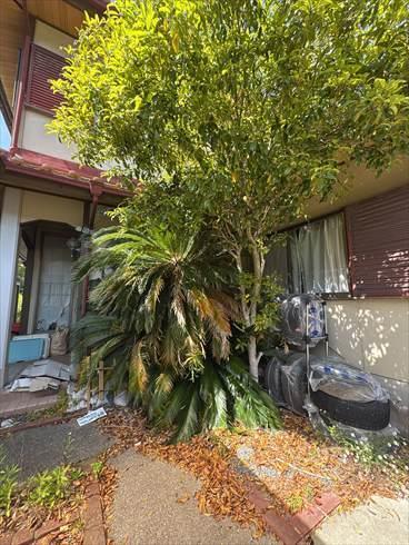 現地写真(2026年4月撮影) 現地写真(2026年4月撮影)