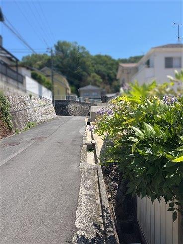 現地(2026年6月撮影)
