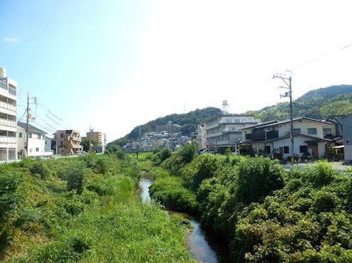 山本川