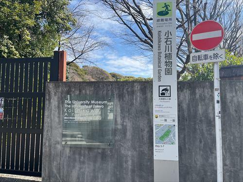 小石川植物園（1000ｍ）