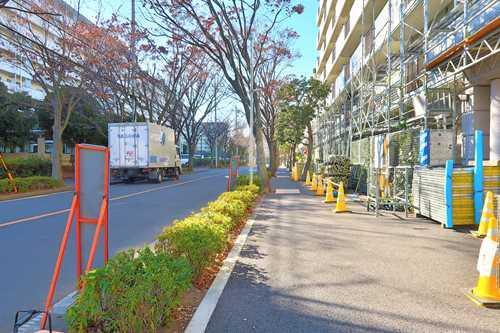 【現地前面道路2024年12月撮影】