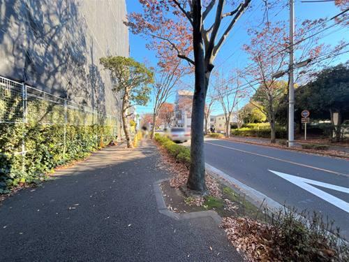 【現地前面道路2024年12月撮影】