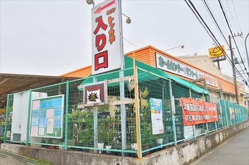 ホームセンターNEWトンカチ1590m