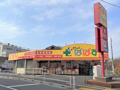 どらっぐぱぱす板橋徳丸店 350ｍ