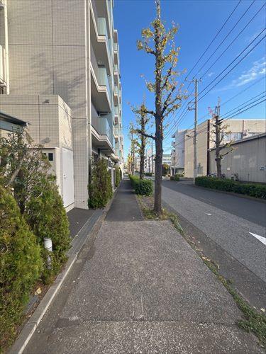 現地含む南西側前面道路