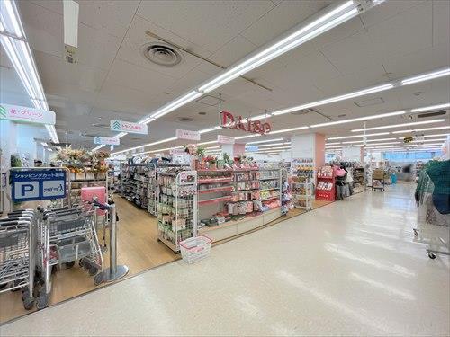 ダイソー東急ストア洋光台店 800ｍ