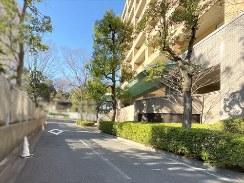 前面道路（2026年1月撮影）