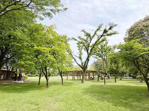 江北平成公園(550m)