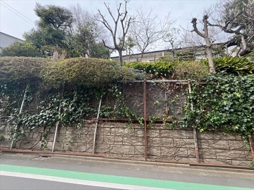 現地・2026年2月撮影