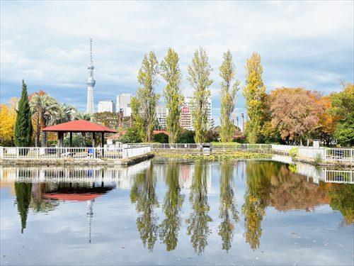 猿江恩賜公園(750m)