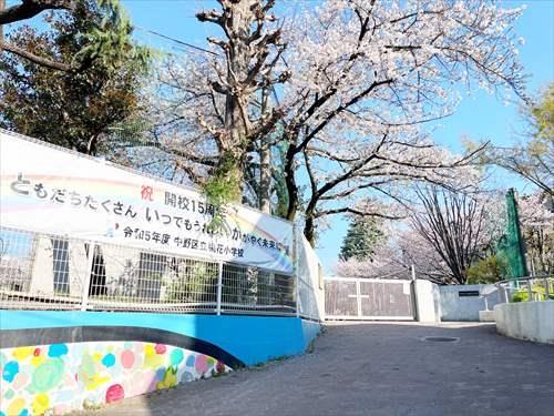 中野区立桃花小学校(360m)