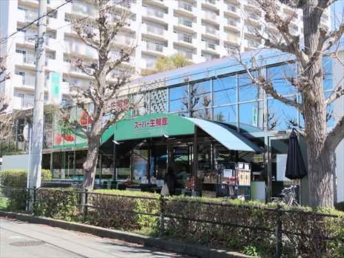 スーパー生鮮館TAIGA座間店840m