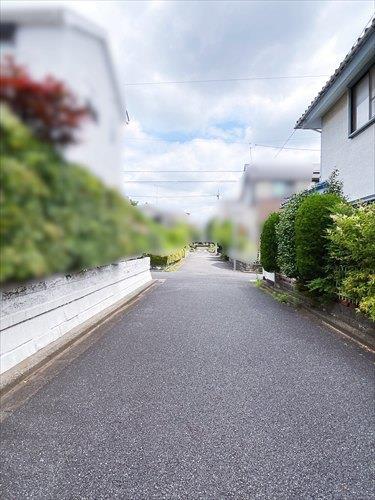 前面道路 (西側)