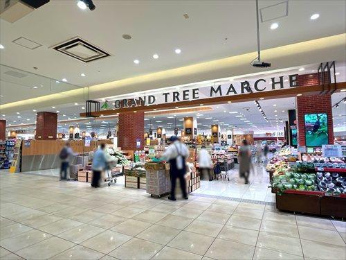 イトーヨーカドーグランツリー武蔵小杉店