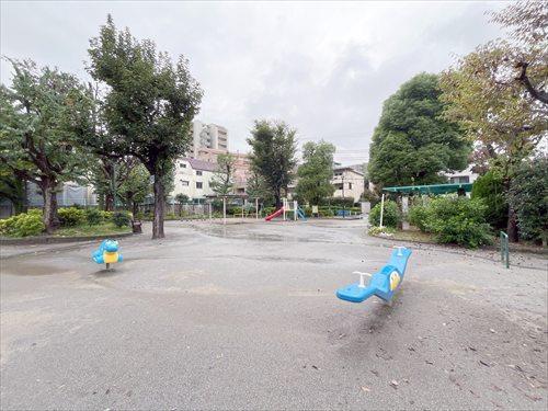 板橋区立南ときわ台公園 260m 板橋区立南ときわ台公園 260m