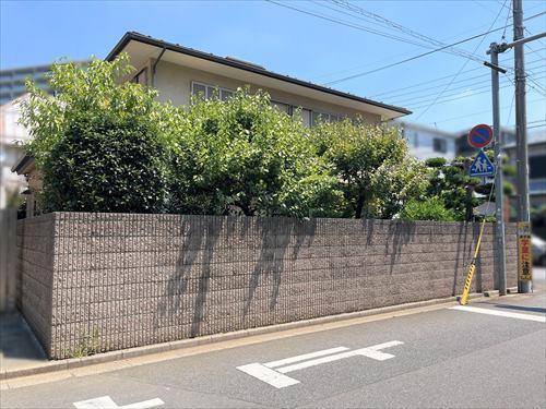 南側現地（2025年7月撮影時）