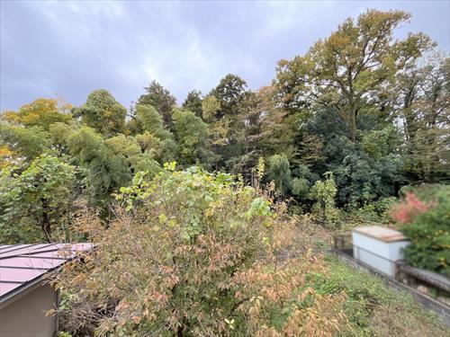 バルコニーからの眺望