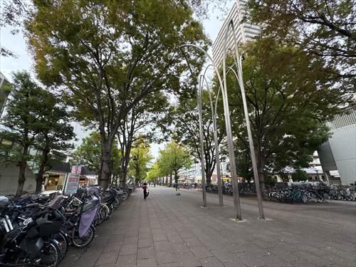 ふれあいの径 650m