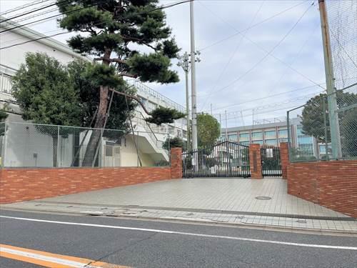 世田谷区立緑丘中学校 800ｍ