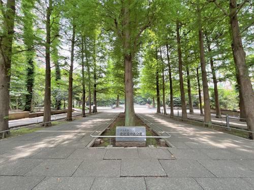 東池袋中央公園 310ｍ