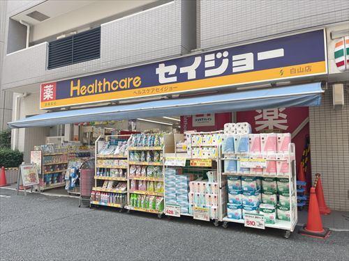 くすりのセイジョー白山店 520ｍ