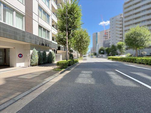 前面道路（2026年9月撮影）