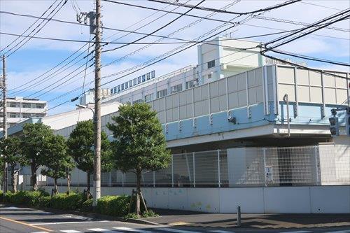 江戸川区立南葛西小学校まで790m