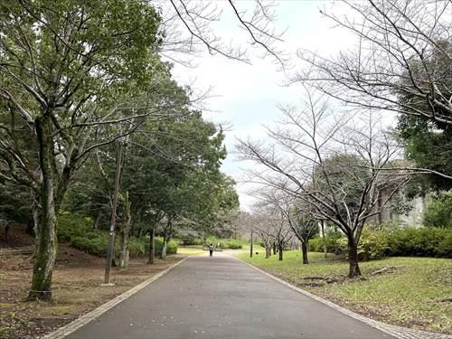 春の道(遊歩道)まで140ｍ