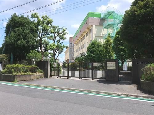 市川市立福栄小学校540m
