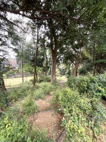 上山公園まで210m