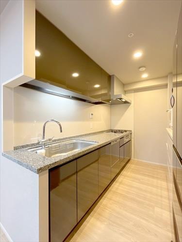 キッチン(食洗機・3口コンロ)