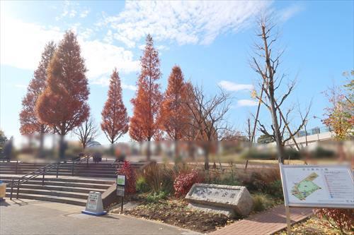 豊洲公園まで810m