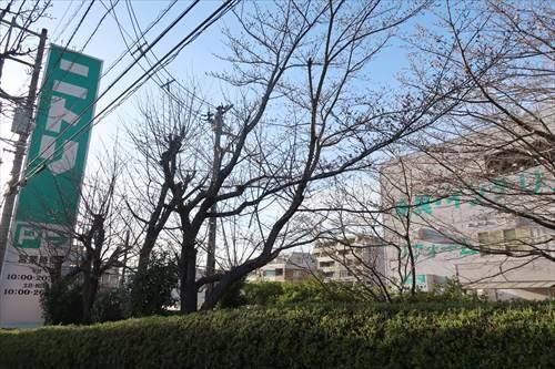 ニトリ港北ニュータウン店まで980m