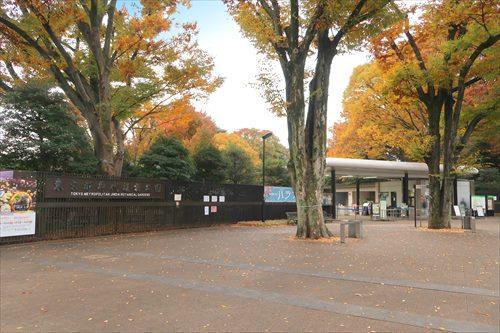 神代植物公園まで950m