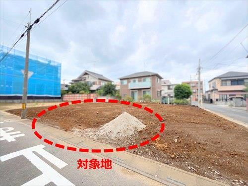 現地‐2026年7月撮影