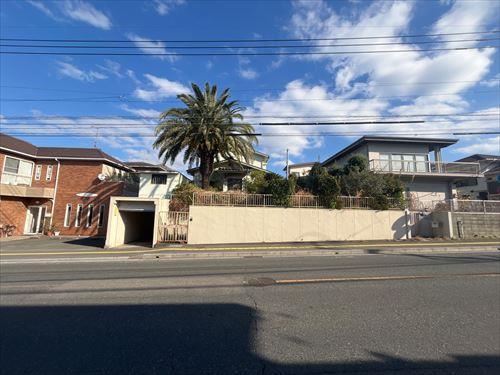 現地写真（西から）