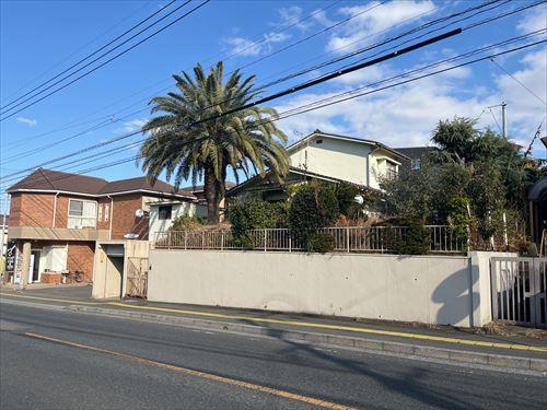 現地写真（南西から）