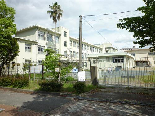 福岡中学校まで850m